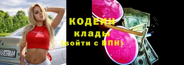дурь Заводоуковск