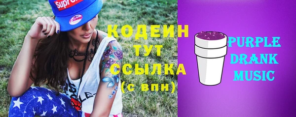 дурь Заводоуковск