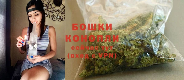 дурь Заводоуковск