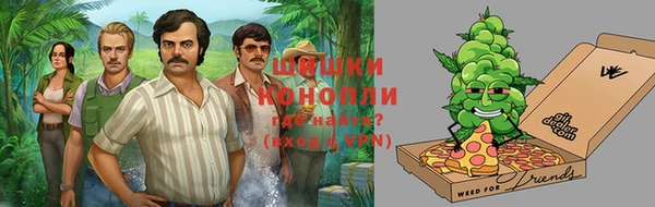 дурь Заводоуковск
